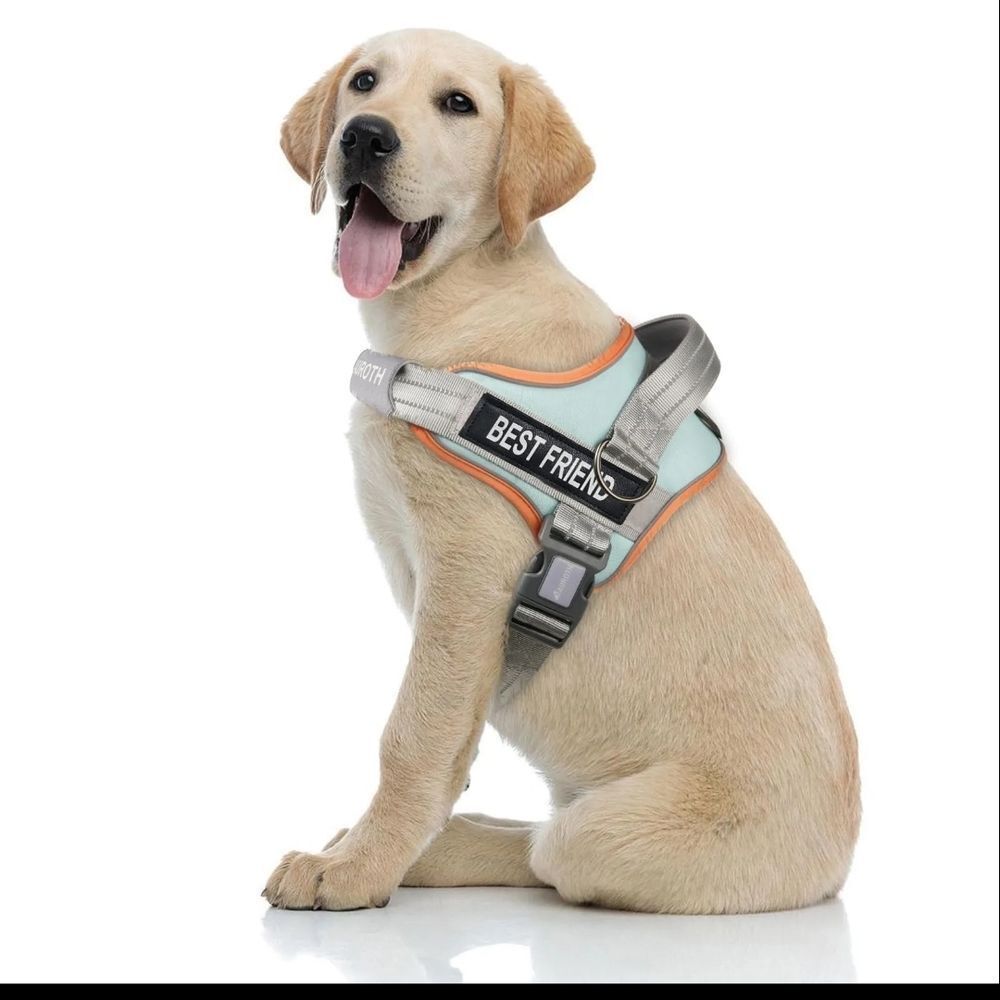 Dog Harness Set
